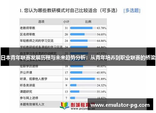日本青年联赛发展历程与未来趋势分析：从青年培养到职业联赛的桥梁