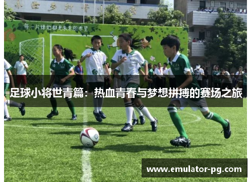 足球小将世青篇：热血青春与梦想拼搏的赛场之旅
