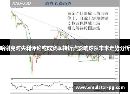 哈谢克对失利评论或成赛季转折点影响球队未来走势分析
